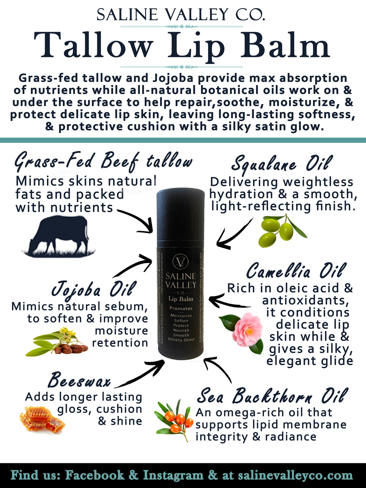 Lip Balm